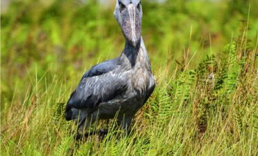 ????????????????????????????????????