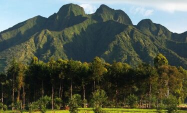 Volcanoes-National-Park-Rwanda
